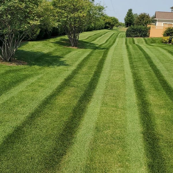 Timberline Lawn Care
